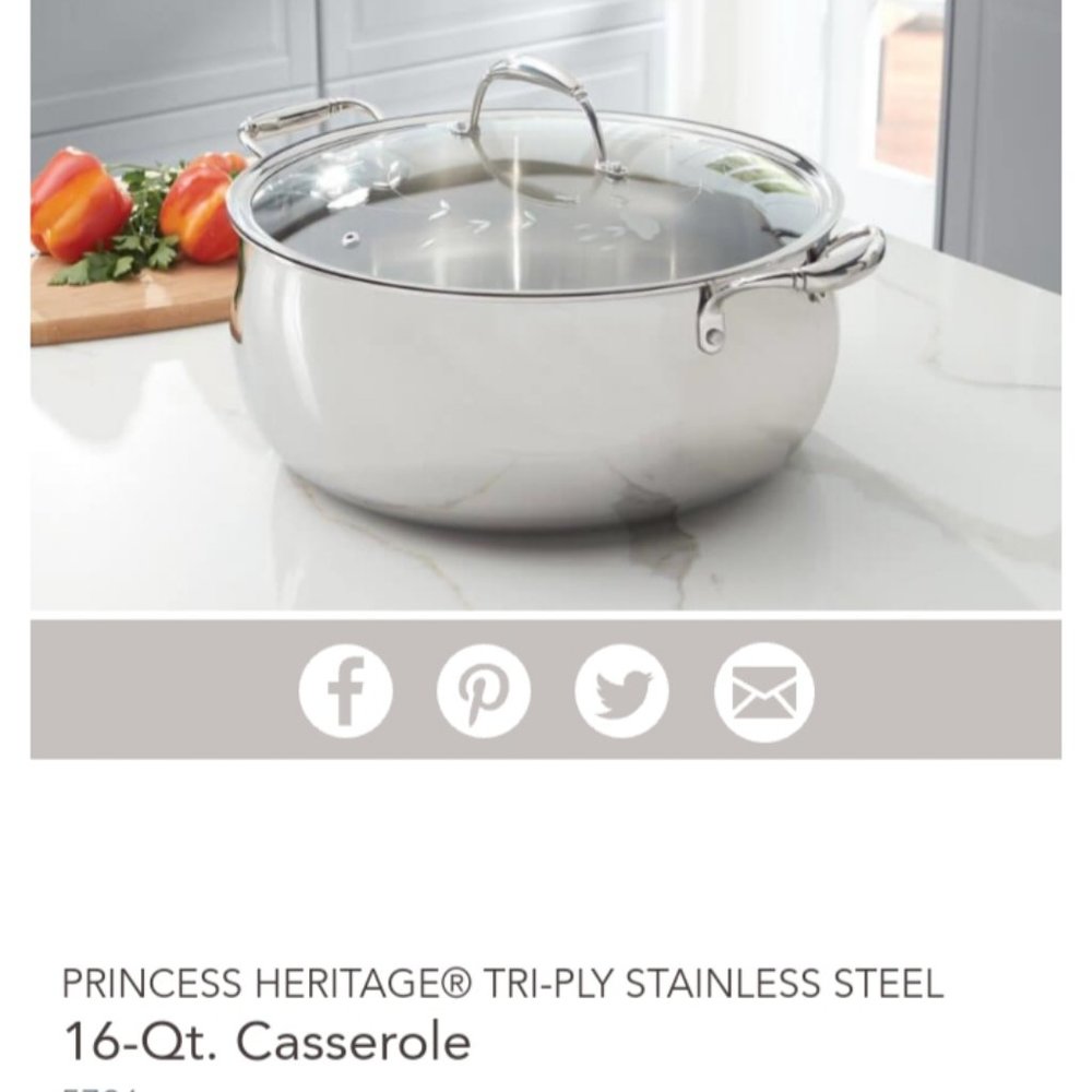 Princess House 16 qt Cassrole